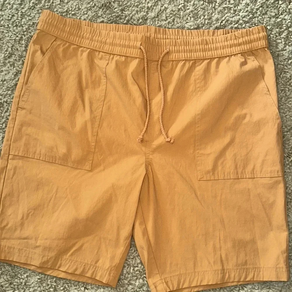 EUC Goodfellow & Co Men’s Everyday Shorts (L)
